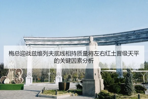 梅总迎战兹维列夫底线相持质量将左右红土晋级天平的关键因素分析