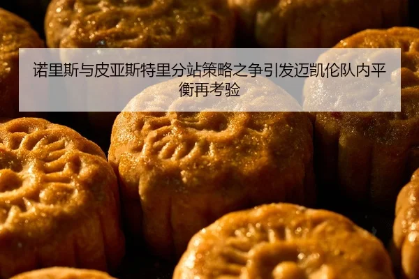 诺里斯与皮亚斯特里分站策略之争引发迈凯伦队内平衡再考验