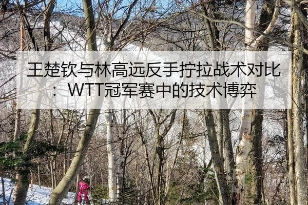 王楚钦与林高远反手拧拉战术对比：WTT冠军赛中的技术博弈