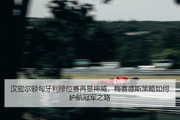 han-mi-er-dun-xiong-ya-li-pai-wei-sai-zai-xian-shen-wei-mei-sai-de-si-ce-lve-ru-he-hu-hang-guan-jun-zhi-lu-2-458.jpg