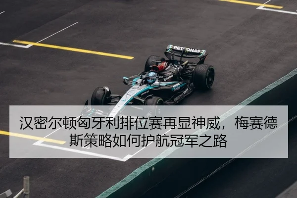 han-mi-er-dun-xiong-ya-li-pai-wei-sai-zai-xian-shen-wei-mei-sai-de-si-ce-lve-ru-he-hu-hang-guan-jun-zhi-lu-3-439.jpg