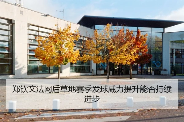 郑钦文法网后草地赛季发球威力提升能否持续进步