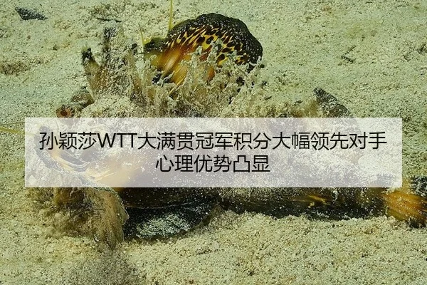 sun-ying-sha-da-man-guan-guan-jun-ji-fen-da-fu-ling-xian-dui-shou-xin-li-you-shi-tu-xian-3-437.jpg